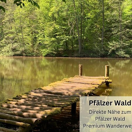 Psapartment Am Pfaelzer Wald Naehe Outlet Center Zweibruecken Pirmasens Ngoại thất bức ảnh